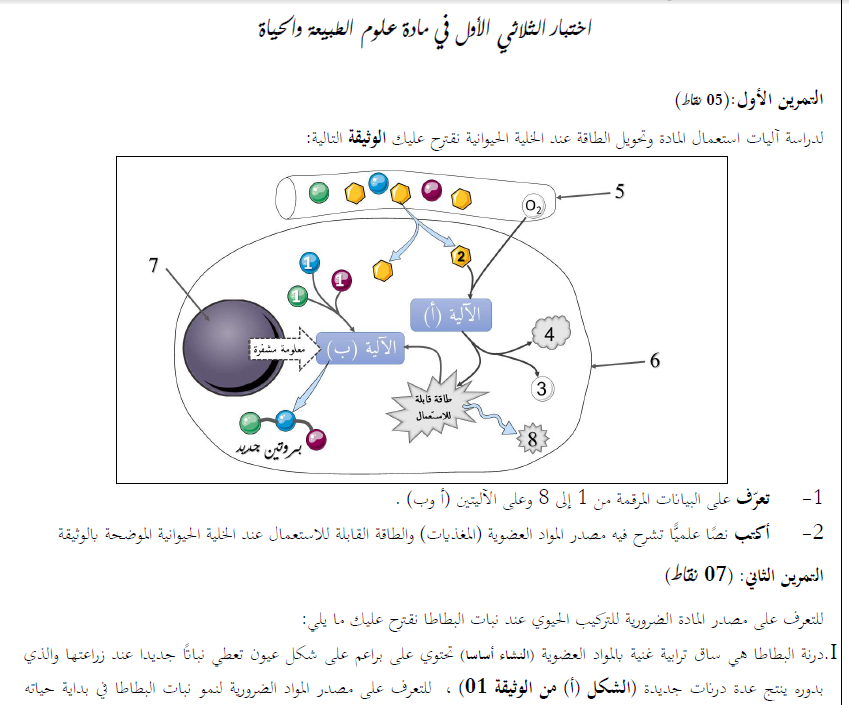 الاختبار الأول في العلوم الطبيعية لـ1 ج م ع ت 2024 للاستاذ عبد الرحيم قروج